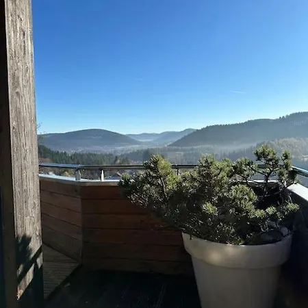 Piscine Vue Panoramique Sur Gerardmer Et Le Hohneck Le Tholy