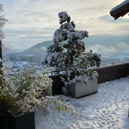 Piscine Vue Panoramique Sur Gerardmer Et Le Hohneck Chalet