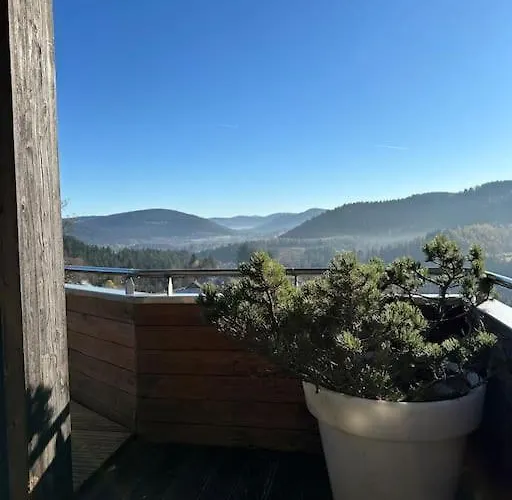 Piscine Vue Panoramique Sur Gerardmer Et Le Hohneck 르톨리