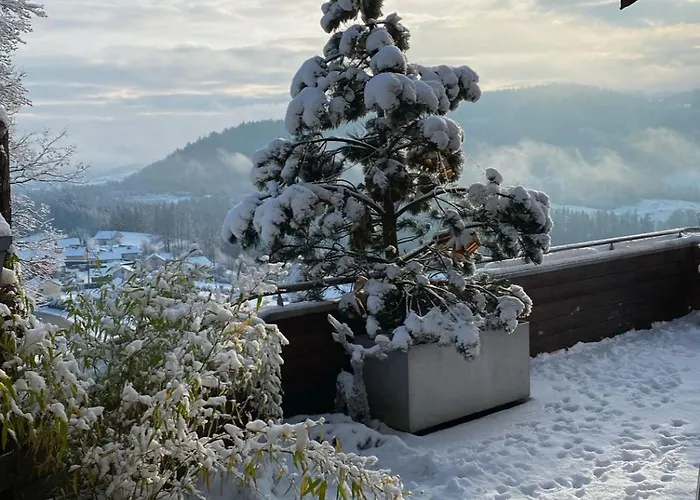Piscine Vue Panoramique Sur Gerardmer Et Le Hohneck 샬레